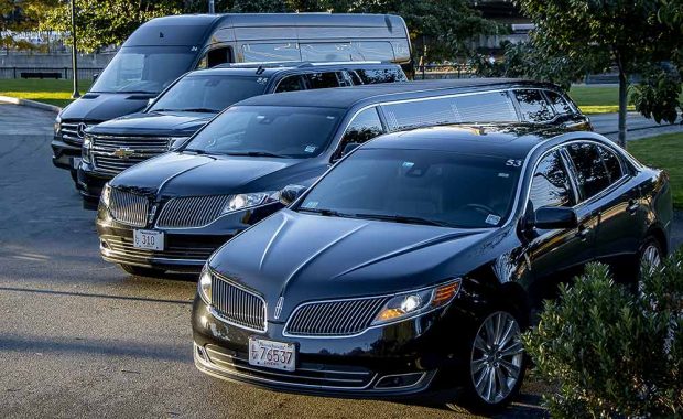 Lelimo Corporate Vehicles
