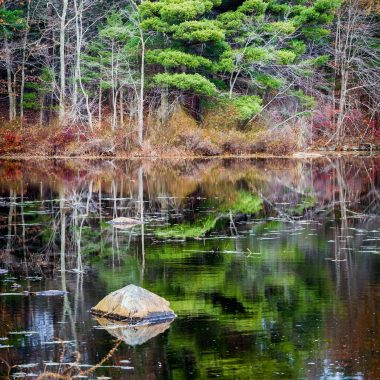 Stony Brook