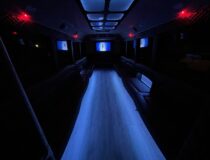 30 Passenger party bus interior