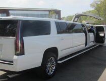 Cadillac Exterior