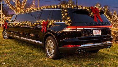 Le Limo for the holidays!